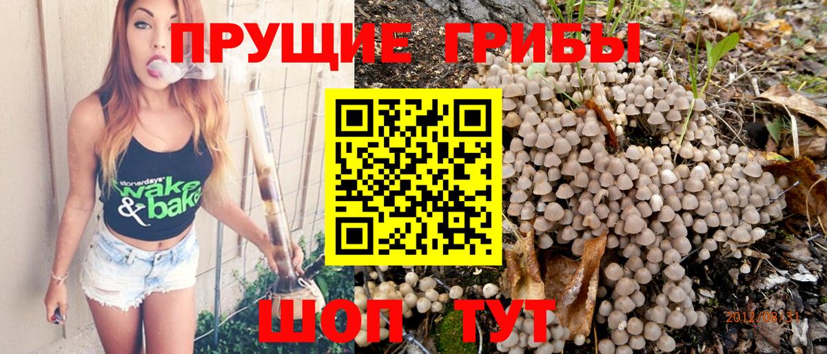 Галлюциногенные грибы Cubensis  Вход с VPN  продажа наркотиков  Новочебоксарск 